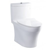 Bàn cầu 1 khối nắp êm TOTO MS889DRT8