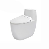 Bồn cầu nắp rửa cơ Inax AC-1052/CW-S32VN