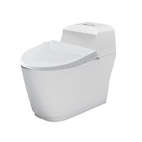 Bồn cầu nắp rửa cơ Inax AC-1032/CW-S32VN