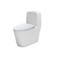 Bồn cầu 2 khối nắp rửa cơ Inax AC-832/CW-S15VN