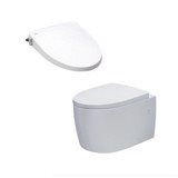 Bồn cầu treo tường nắp rửa cơ Inax AC-952/CW-S15VN