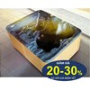Bồn tắm massage Jacuzzi Daros DR 16-53