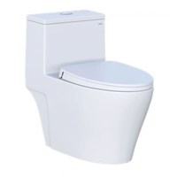 Bồn cầu 1 khối Caesar CD1356