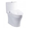 Bàn cầu 1 khối TOTO MS889DRE2