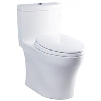 Bàn cầu 1 khối TOTO MS889DRT2