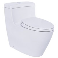 Bồn cầu 1 khối TOTO MS636DT2