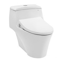 Bàn cầu 1 khối TOTO CW823RAE4