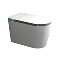 Bồn cầu điện tử thông minh tự động EG04