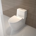 Bồn cầu 1 khối American Standard 2007-WT