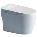 Bồn cầu thông minh tự động rửa EG168