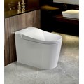 Bồn cầu điện tử thông minh EG188