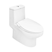 Bồn cầu nắp rửa cơ American Standard VF-1858SW