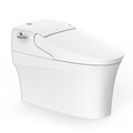 Bồn cầu điện tử WP-5017 New AeroZen American Standard