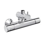 Sen tắm WF-4948 American Standard