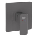Vòi sen WF-1322BHG American Standard
